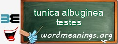 WordMeaning blackboard for tunica albuginea testes